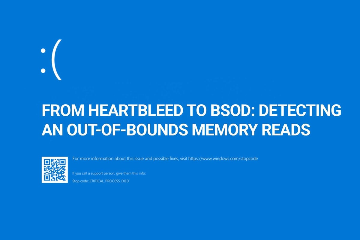 Understanding Out-of-Bounds Memory Access Vulnerabilities and Detecting Them with Fuzz Testing